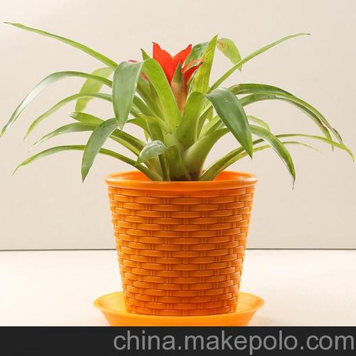 厂家直销全新竹编形塑料花盆 大花盆与盆景盆的颜值之选